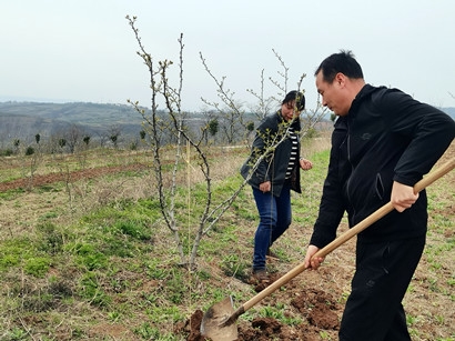 扶贫工作动态(第133期)