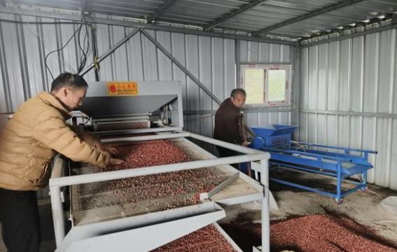 乡村振兴工作动态（第173期）